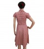 Vintage Red & White check pattern dress